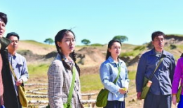 最美电视剧,演绎岁月芳华——最美电视剧盘点